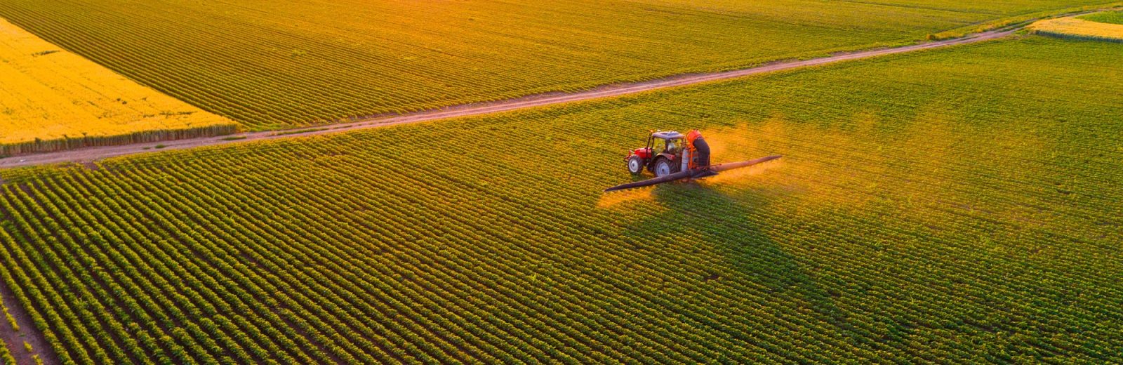 A tractor spraying a crop field in an orange glowing sunset