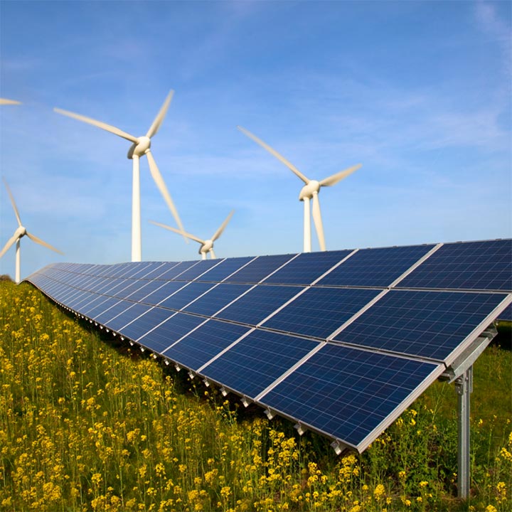 Field of solar panels and wind turbines