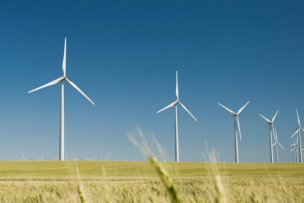 A field of wind turbines