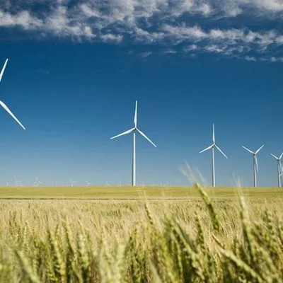 wind turbines in wheat field with blue sky