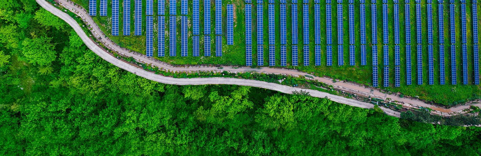Aerial shot of a solar panel farm in a forest with a track going through the middle